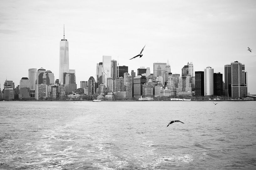 Mouette de la ligne d'horizon de New York par Joke De Nef