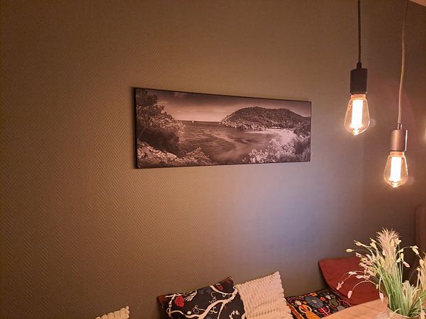 Bay with beach on the island of Ibiza in black and white .