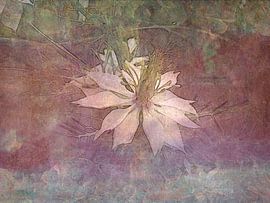 Maid in the Green 4 by Claudia Gründler