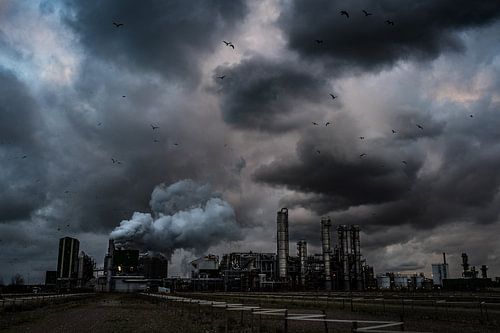 Dreigende wolken boven een fabriek in de Botlek