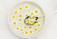 A spoon full of summer 1 (a bowl and spoon with a soup of camomile flowers) by Birgitte Bergman thumbnail