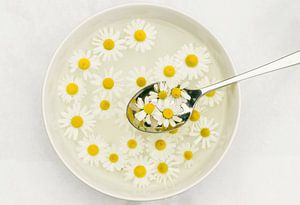 A spoon full of summer 1 (een kom en lepel met een soep van kamille bloemen) van Birgitte Bergman