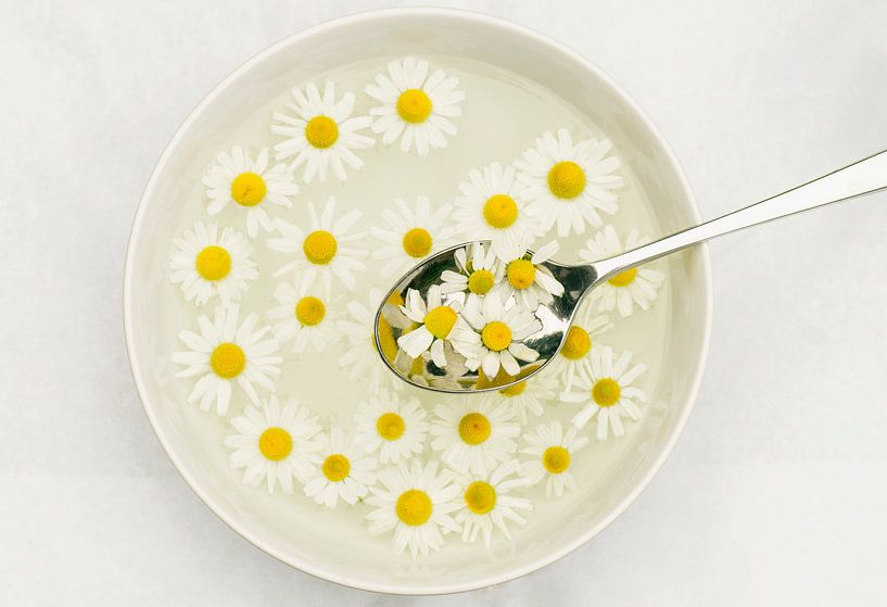 A spoon full of summer 1 (a bowl and spoon with a soup of camomile flowers) by Birgitte Bergman