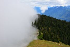 Fog and sun in the mountains of Olympic National Park by My Footprints