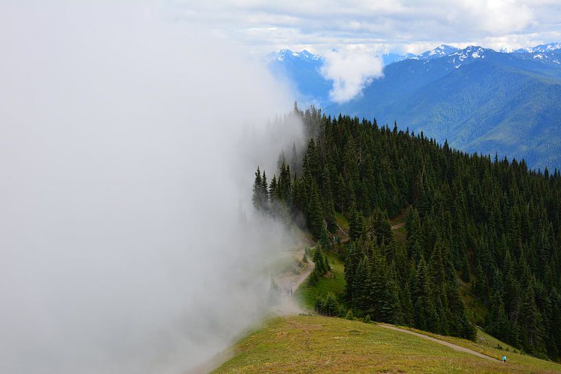 Brouillard et soleil dans les montagnes du parc national olympique par My Footprints
