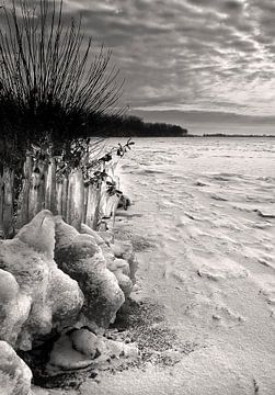 Friesland, Tjeeukermeer, Winter by Fons Bitter