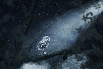 nocturnal owl is illuminated by moonlight by Besa Art