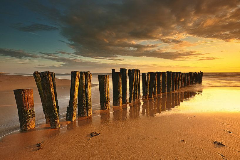 Strandpfähle in goldenem Licht von peterheinspictures