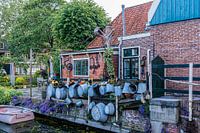 Edam
