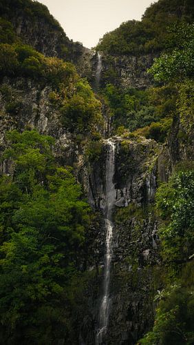 Forêts et cascades près de 25 Fontes