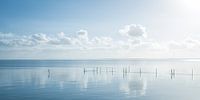 Hollands waterlandschap met reflectie van wolken en fuikpalen. van MICHEL WETTSTEIN thumbnail