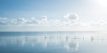 Hollands waterlandschap met reflectie van wolken en fuikpalen. van MICHEL WETTSTEIN