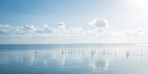 Hollands waterlandschap met reflectie van wolken en fuikpalen.