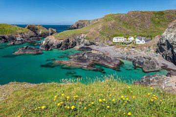 Strandcafé in Kynance Cove, Helston, Cornwall, Engeland van Christian Müringer