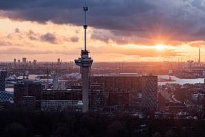 Rotterdam View 7
