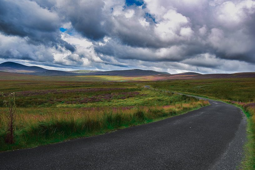 Wicklow Mountains Ierland van Charlotte de Moet