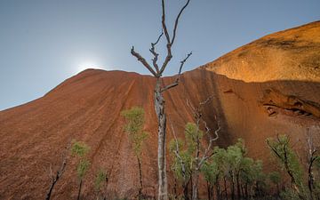 Uluru