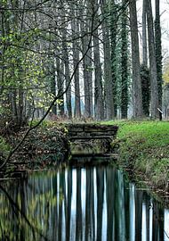 Bleijenbeek Estate - Afferden by Guus Rameckers