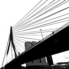 Silhouette van de Erasmusbrug