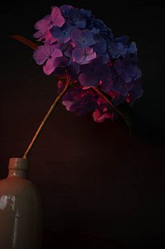 hortensia bleu dans un vase