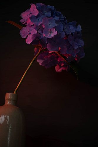 blue hydrangea in vase