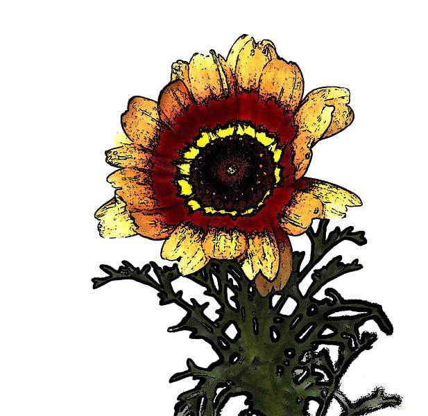 Gooseflower by Jose Lok