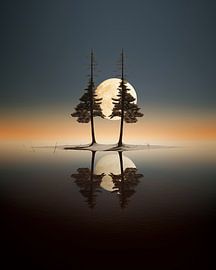 Aesthetic minimalism