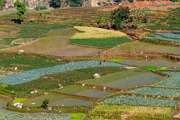 Landbouw in Nepal van Roland Brack