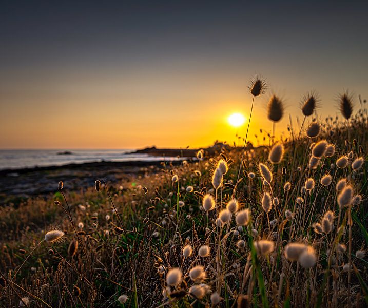 Zonsondergang aan de Franse kust van Peter van der Waard