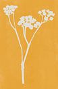 Moderne botanische kunst. Bloem in wit op geel van Dina Dankers thumbnail
