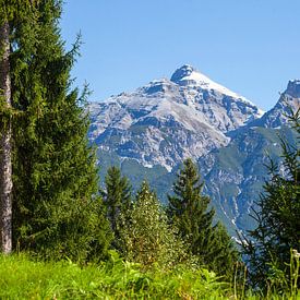 Serles mountain with forest by Torsten Krüger