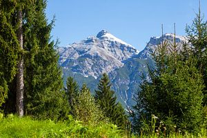 Berg Serles mit Wald 