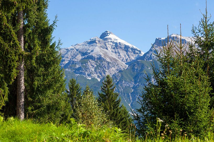 Berg Serles mit Wald  von Torsten Krüger