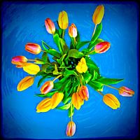 Bouquet de tulipes colorées