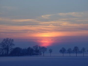 Avondpolder van Debora van Tilborg