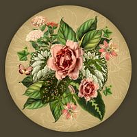 Kreis Rosa Kamelie