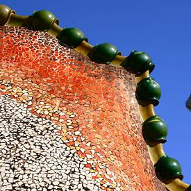 Casa Batllo van Inge Berken