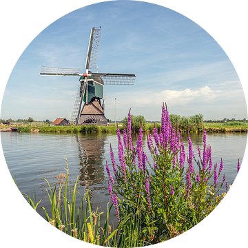 Typisch Nederlands landschap met een poldermolen van Ruud Morijn