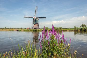 Typisch Nederlands landschap met een poldermolen van Ruud Morijn