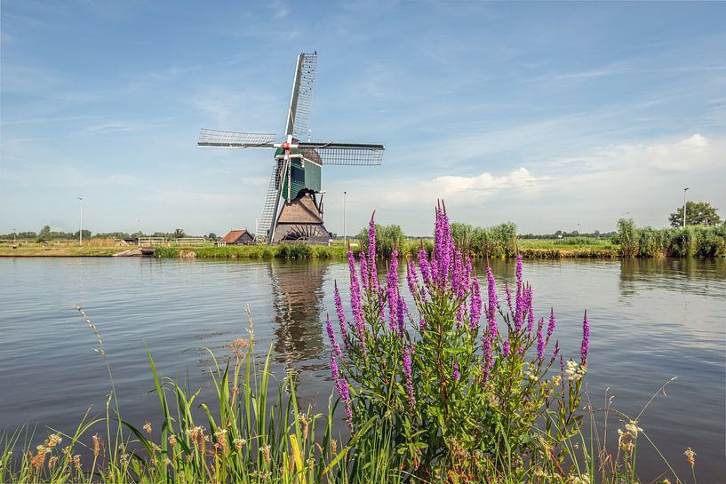 Typische niederländische Landschaft mit einer Poldermühle von Ruud Morijn