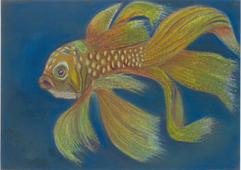 Glimmer de goudvis