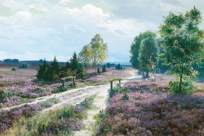 Lavender Field by Antonije Lazovic