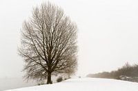 Winter walk along the Meuse