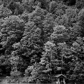 Frieden und Ruhe am Wasser von Natuur in Focus
