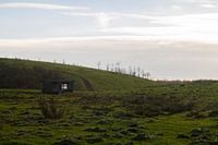 deserted pasture
