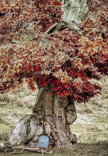 With Elven Eyes 29 by Lars van de Goor