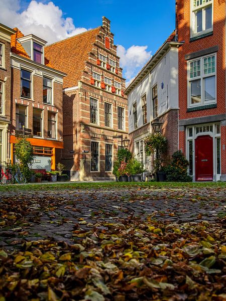 Rembrandt in Leiden by Dirk van Egmond