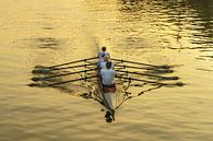 Rowers in the evening light by Berthold Ambros thumbnail