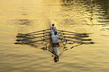 Rowers in the evening light