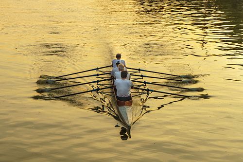 Rowers in the evening light